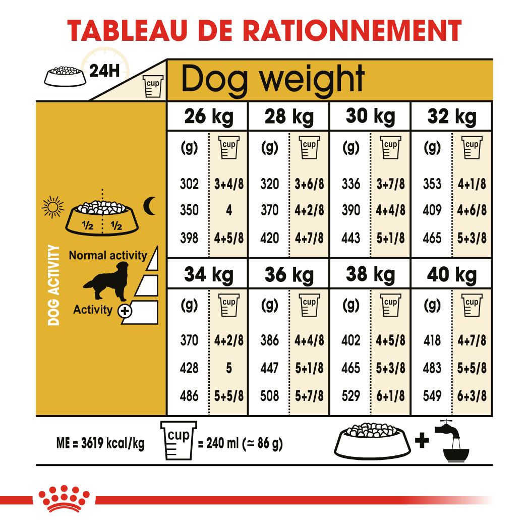 Alimentation chiens Golden Retriever ADULT